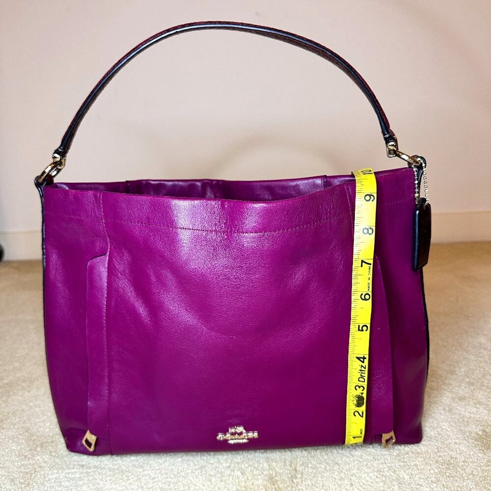 Coach Scout - Boysenberry